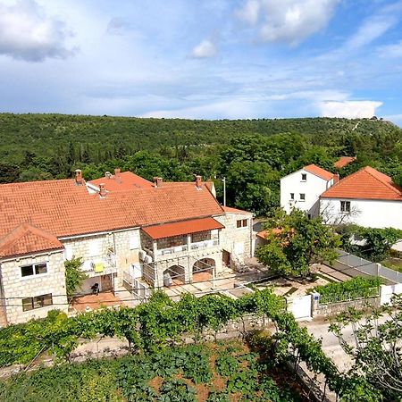 Nice Apartment In Dubrovnik With Kitchen Exteriér fotografie